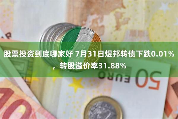 股票投资到底哪家好 7月31日煜邦转债下跌0.01%,转股溢价率31.88%