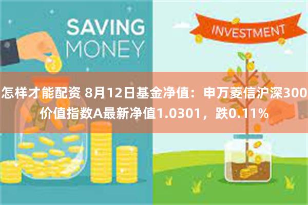 怎样才能配资 8月12日基金净值:申万菱信沪深300价值指数A最新净值1.0301,跌0.11%