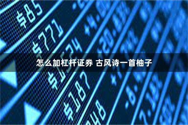 怎么加杠杆证券 古风诗一首柚子