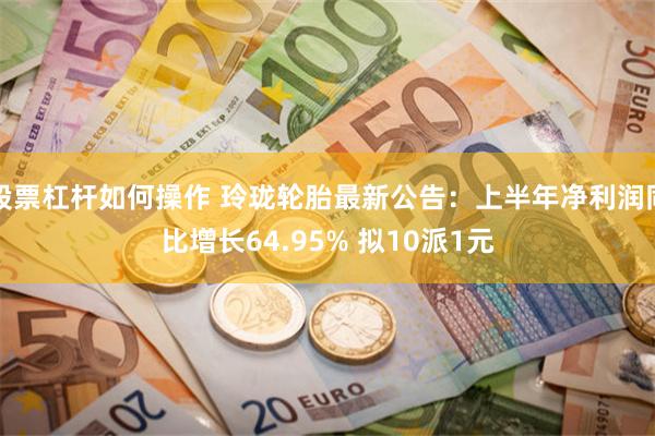 股票杠杆如何操作 玲珑轮胎最新公告：上半年净利润同比增长64.95% 拟10派1元