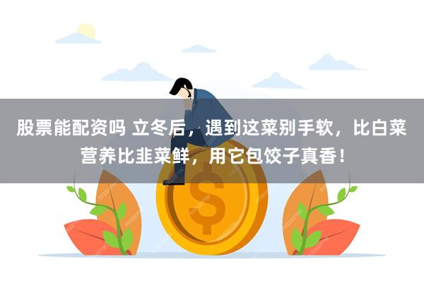 股票能配资吗 立冬后，遇到这菜别手软，比白菜营养比韭菜鲜，用它包饺子真香！