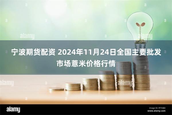 宁波期货配资 2024年11月24日全国主要批发市场薏米价格行情
