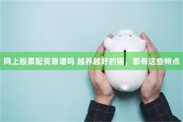 网上股票配资靠谱吗 越养越好的猫，都有这些特点