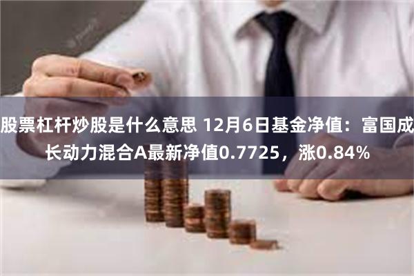 股票杠杆炒股是什么意思 12月6日基金净值：富国成长动力混合A最新净值0.7725，涨0.84%