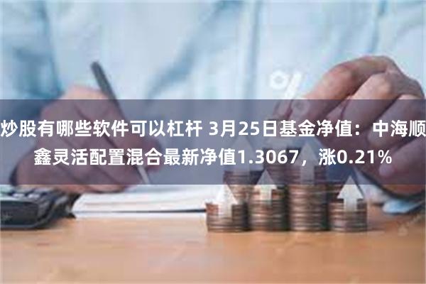 炒股有哪些软件可以杠杆 3月25日基金净值：中海顺鑫灵活配置混合最新净值1.3067，涨0.21%