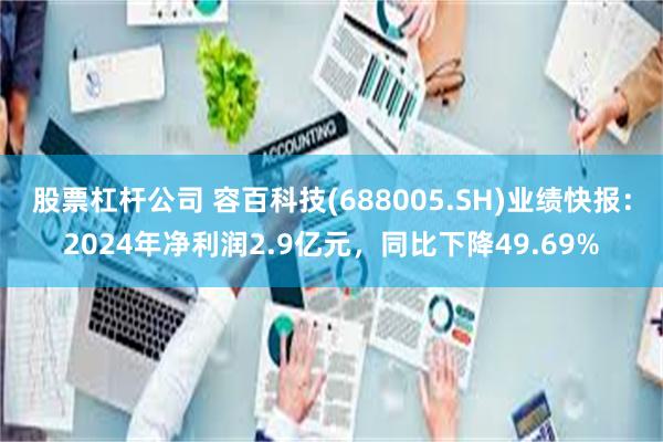 股票杠杆公司 容百科技(688005.SH)业绩快报:2024年净利润2.9亿元,同比下降49.69%