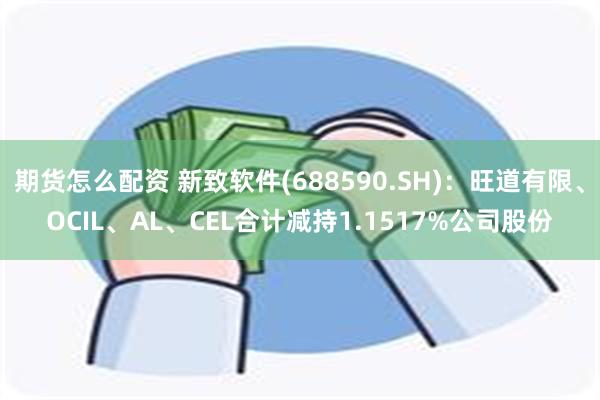 期货怎么配资 新致软件(688590.SH)：旺道有限、OCIL、AL、CEL合计减持1.1517%公司股份