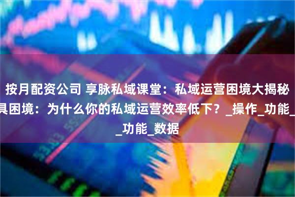 按月配资公司 享脉私域课堂：私域运营困境大揭秘—工具困境：为什么你的私域运营效率低下？_操作_功能_数据