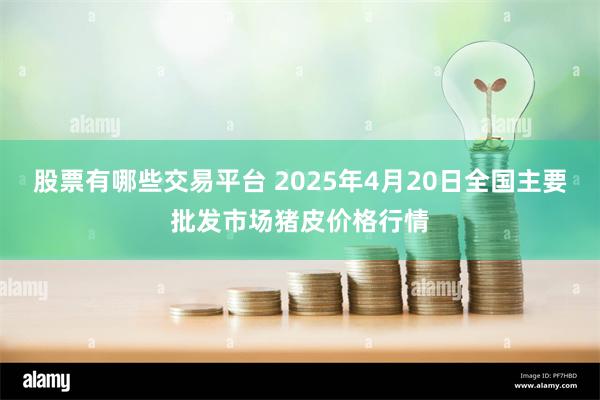 股票有哪些交易平台 2025年4月20日全国主要批发市场猪皮价格行情