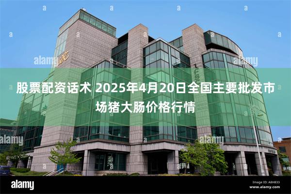 股票配资话术 2025年4月20日全国主要批发市场猪大肠价格行情