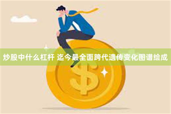 炒股中什么杠杆 迄今最全面跨代遗传变化图谱绘成