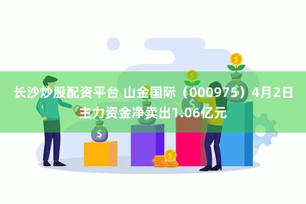 长沙炒股配资平台 山金国际（000975）4月2日主力资金净卖出1.06亿元