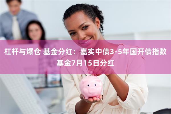 杠杆与爆仓 基金分红：嘉实中债3-5年国开债指数基金7月15日分红