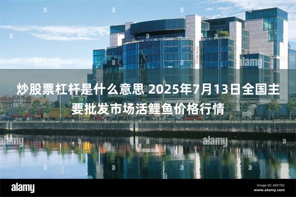 炒股票杠杆是什么意思 2025年7月13日全国主要批发市场活鲤鱼价格行情