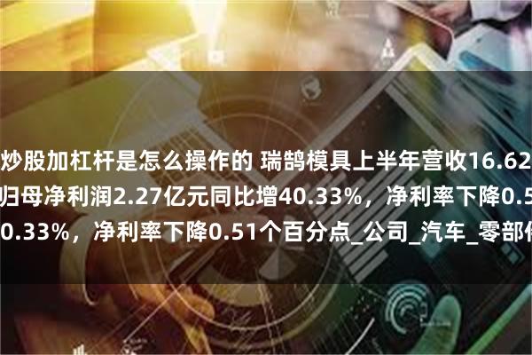 炒股加杠杆是怎么操作的 瑞鹄模具上半年营收16.62亿元同比增48.30%，归母净利润2.27亿元同比增40.33%，净利率下降0.51个百分点_公司_汽车_零部件