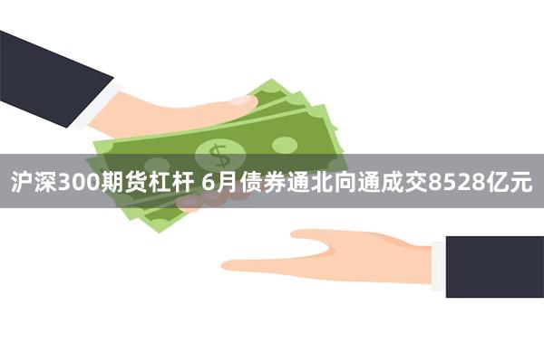 沪深300期货杠杆 6月债券通北向通成交8528亿元